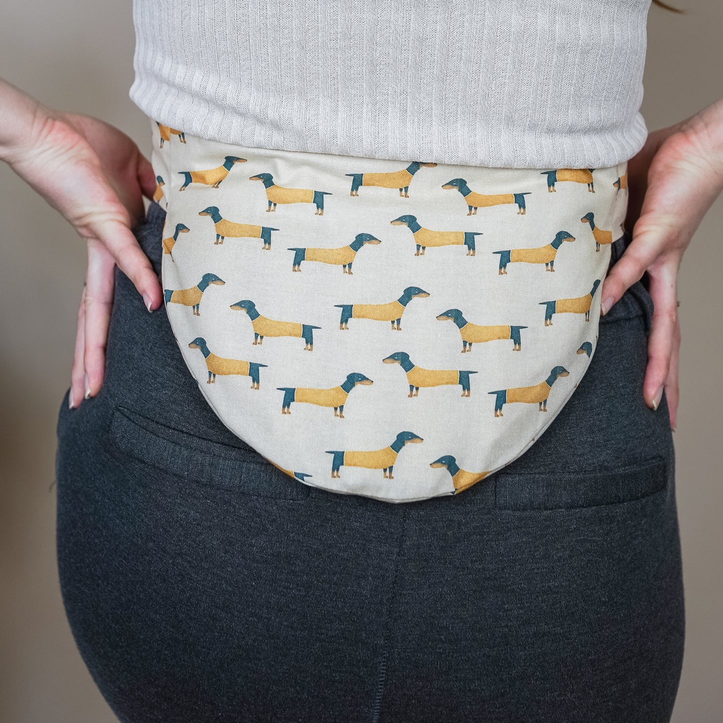 Bellywrap Dackel