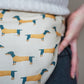 Bellywrap Dackel